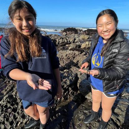 Learning Through Experience